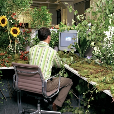 plant covered cubicle